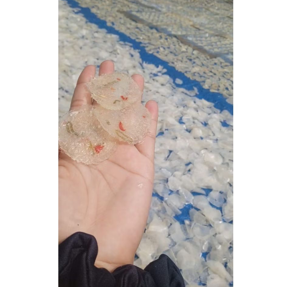 

KECIMPRING MENTAH / KICIMPLING MENTAH / KECIMPLING MENTAH / OPAK SINGKONG MENTAH / KERUPUK SINGKONG MENTAH/ KECIMPLING PUTIH BENING GAK ASEM GAK BAU SINGKONG