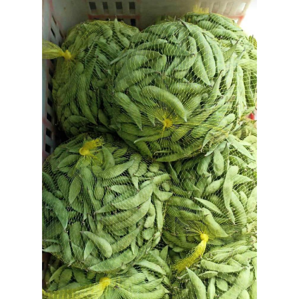 

Edamame Fresh Low Pestisida 1kg