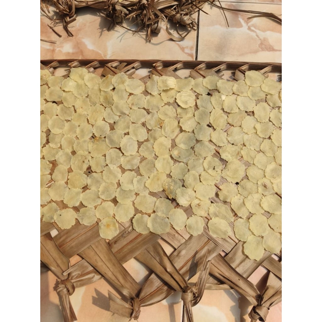 

EMPING MELINJO KECIL TIPIS