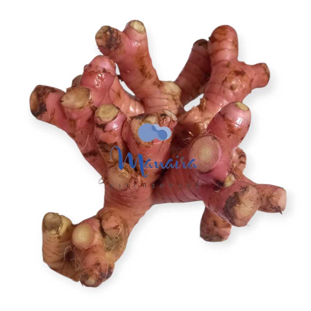 

Lengkuas Segar 500g / 100g Bumbu Dapur Bandung