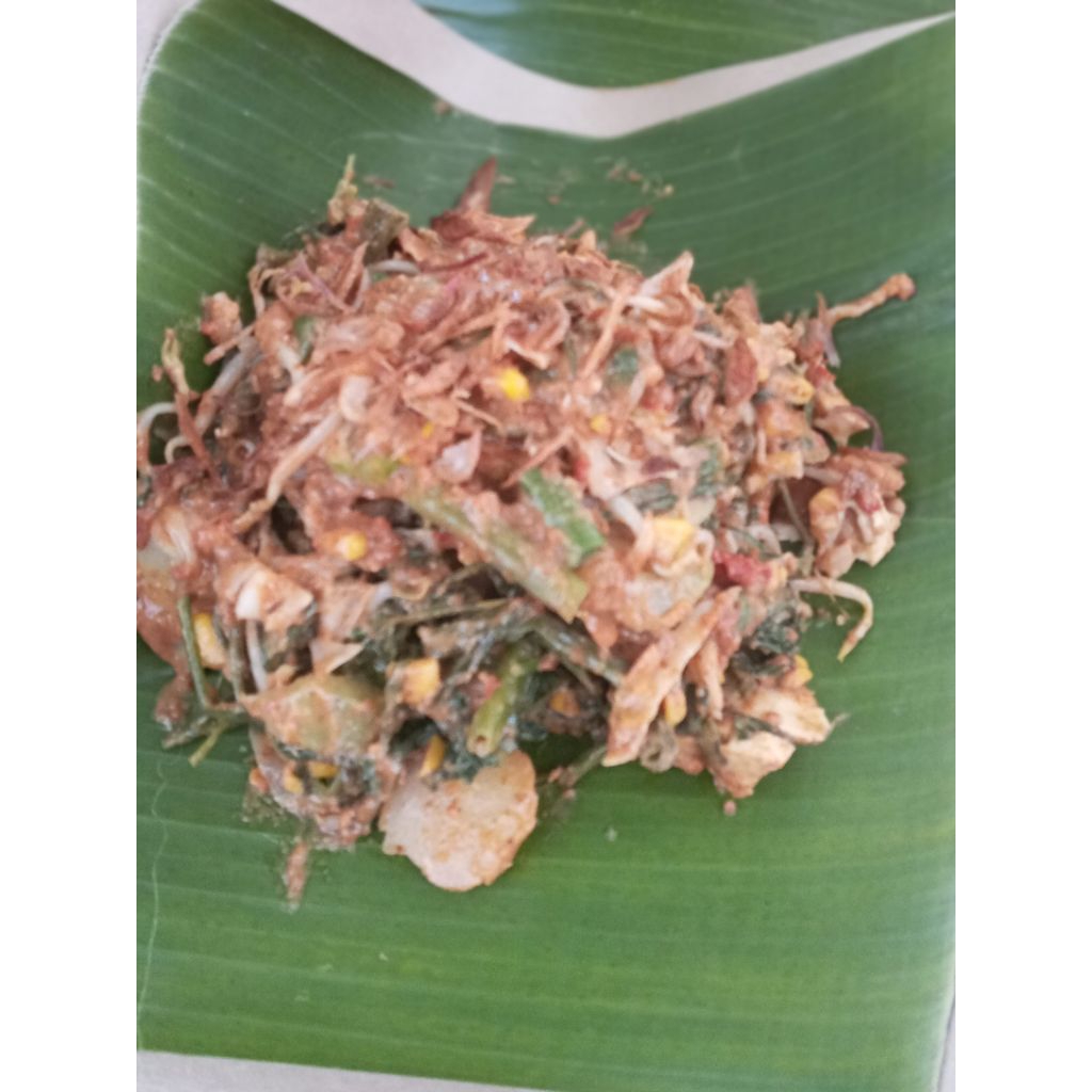 

gado gado biasa + lontong