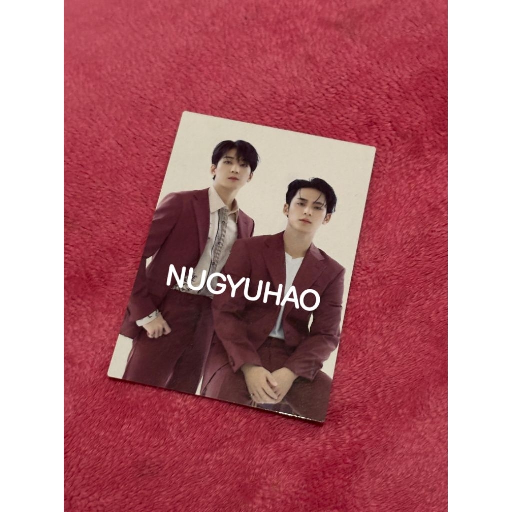 Trading Card/Photocard Wonwoo Minggu Minwon Seventeen
