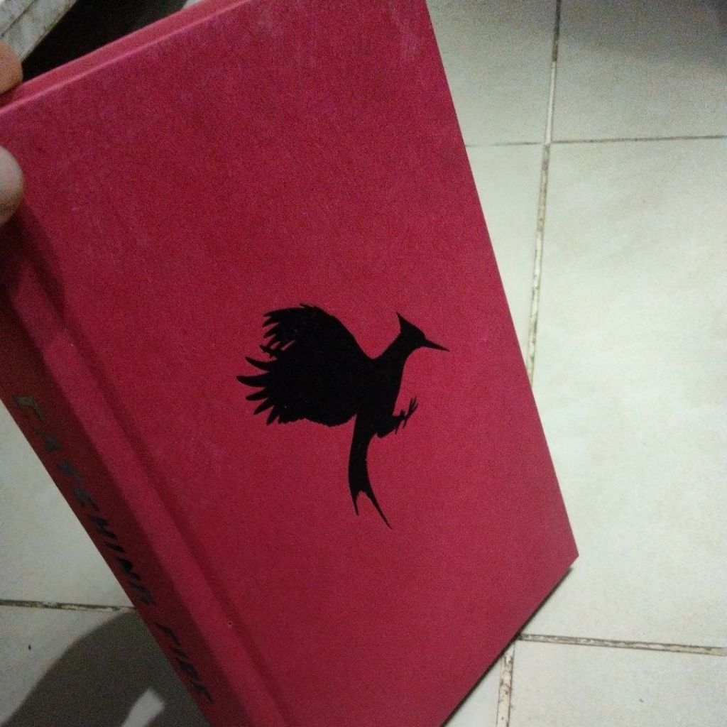 CATCHING FIRE COLLINS