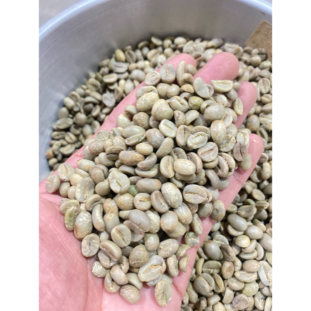 

bini kopi arabika sindoro gerd1