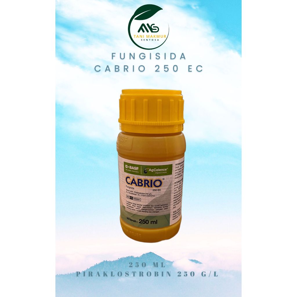 Fungisida CABRIO 250 EC (Piraklostrobin 250 EC)