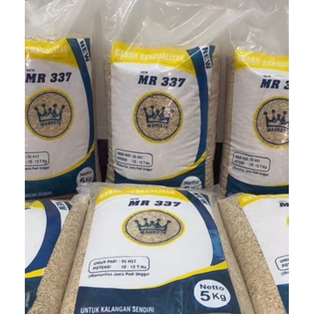 Benih padi MR 337
