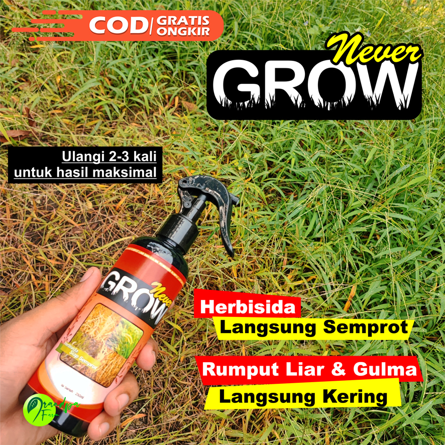 NeverGrow Obat Rumput Liar Siap Semprot. Pembasmi Rumput Mati Sampai ke Akar