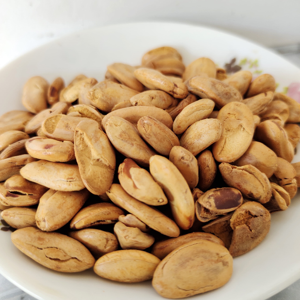 

KACANG MINDIK/BIJI KEDAWUNG SENGON OVEN ORIGINAL CAMILAN LANGKA