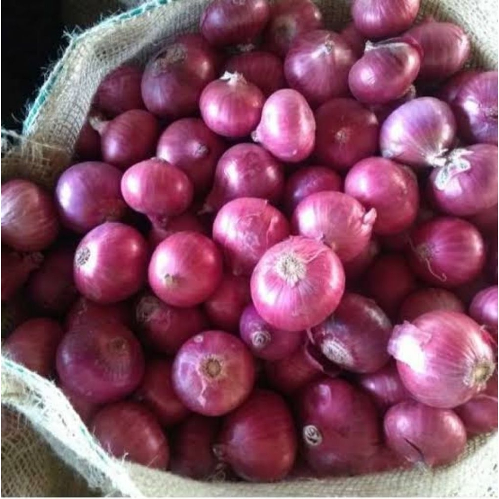 

☆ Bawang Merah India Fresh ☆ 》》 Bawang Merah ( Peking ) India Murah SEGAR 1 kiLo Terjangkau