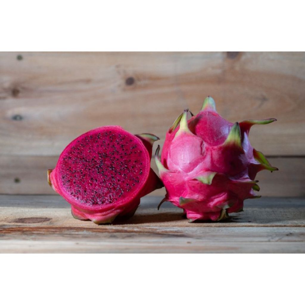 

BUAH NAGA merah fresh 1000gr