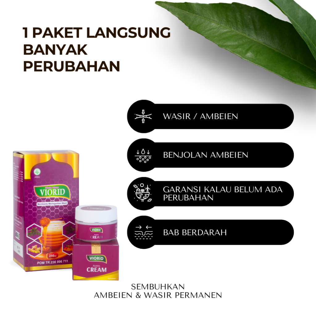 Terbukti ampuh Viorid Obat Ambeien Wasir Paling Ampuh Herbal Ambeyen Luar Dalam Stadium 1 2 3 4 Cepa