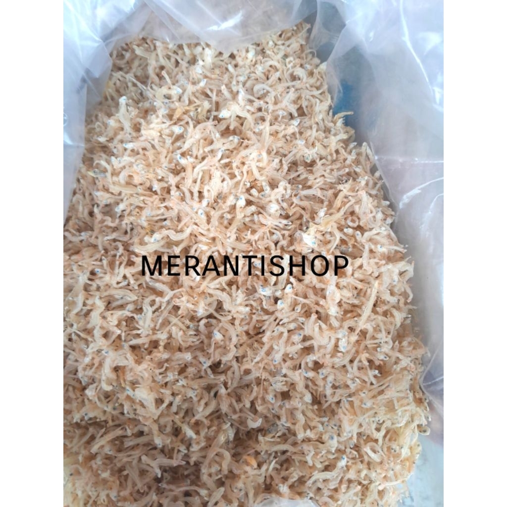 

Ikan Teri Kecil 100gram khas Selatpanjang / Ikan Bilis Kecil