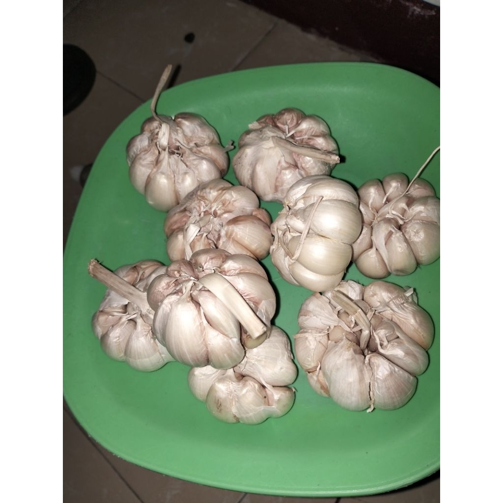 

Bawang Putih Sinco Bagus dan bersih