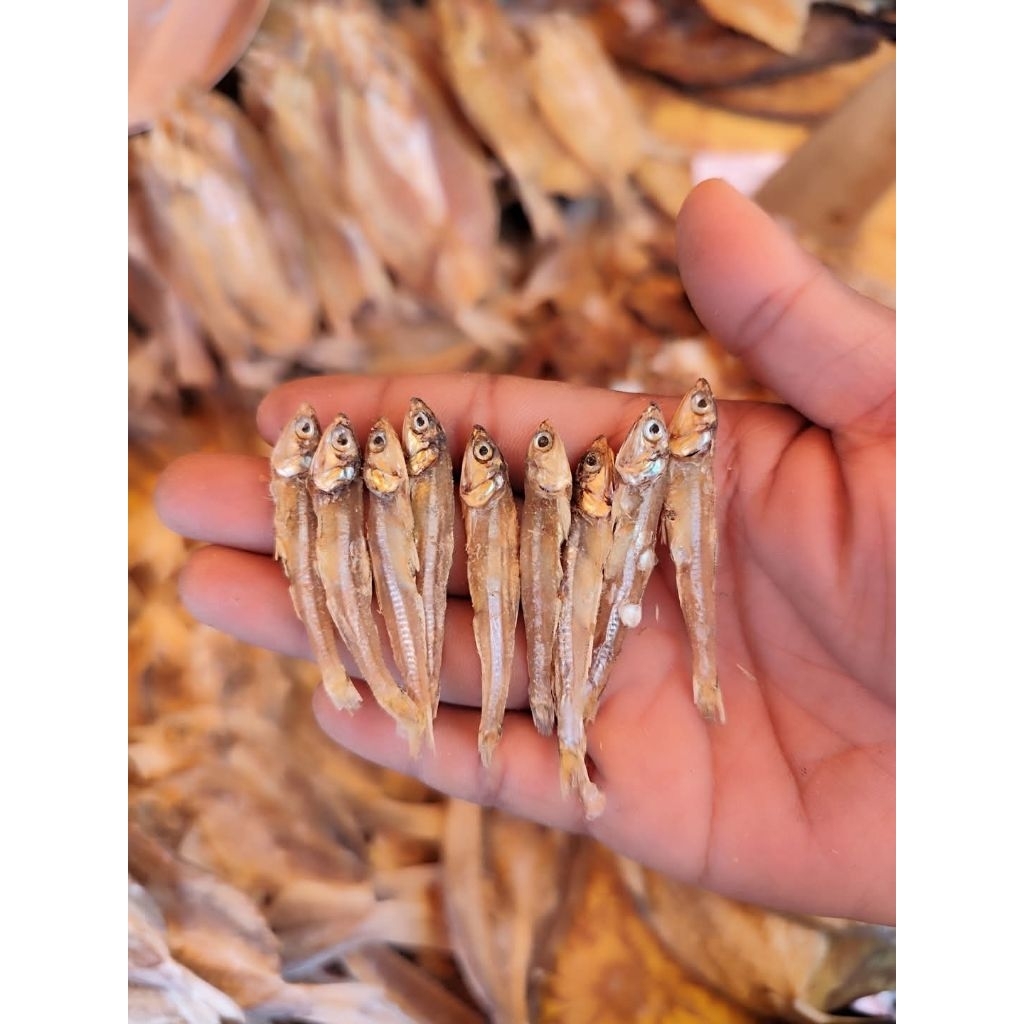 

Teri Jengki Tawar / Teri Kadrak 1kg