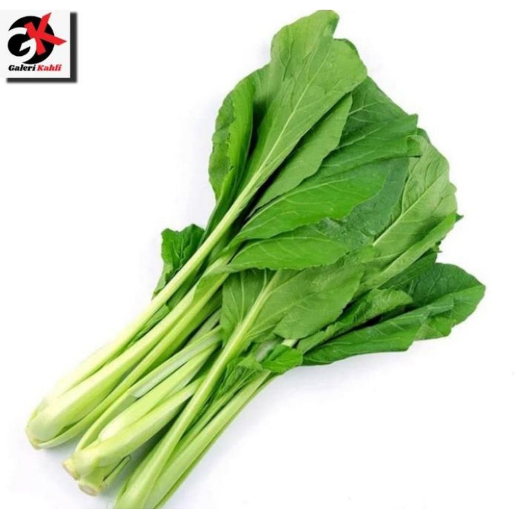 

Sawi Hijau Segar Berkualitas Grade A - 500gr