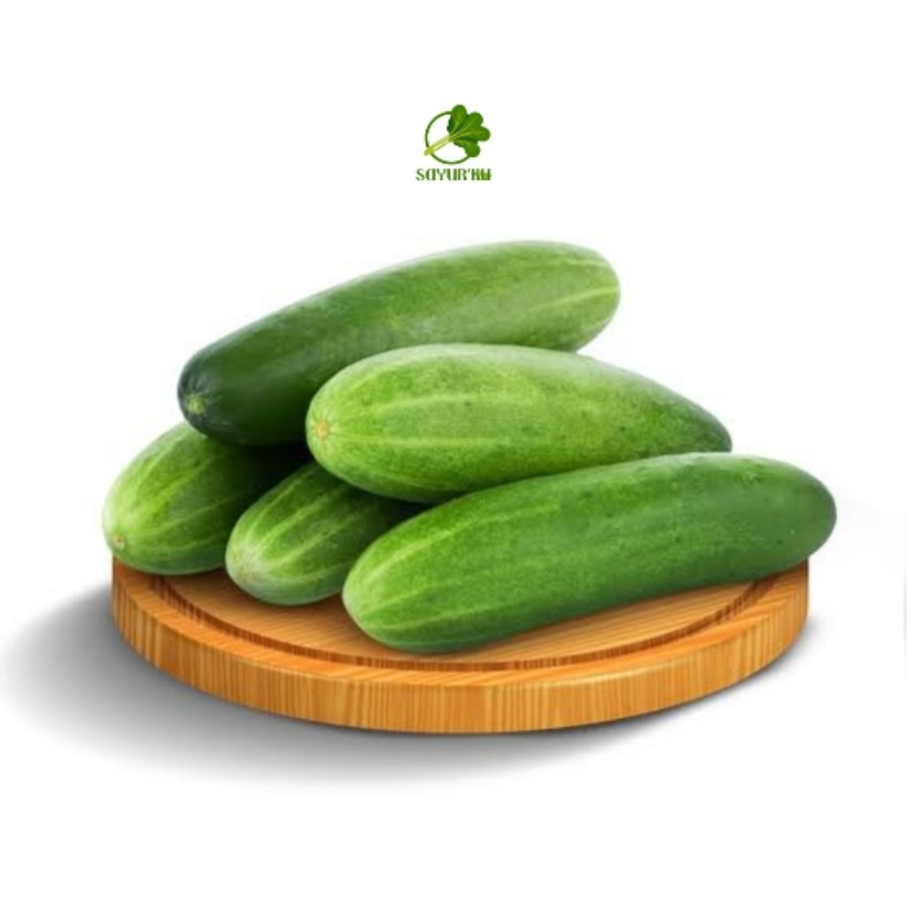

Sayur Buah Timun (1kg) Segar untuk Kebutuhan Dapur, Fresh Wajib Instant