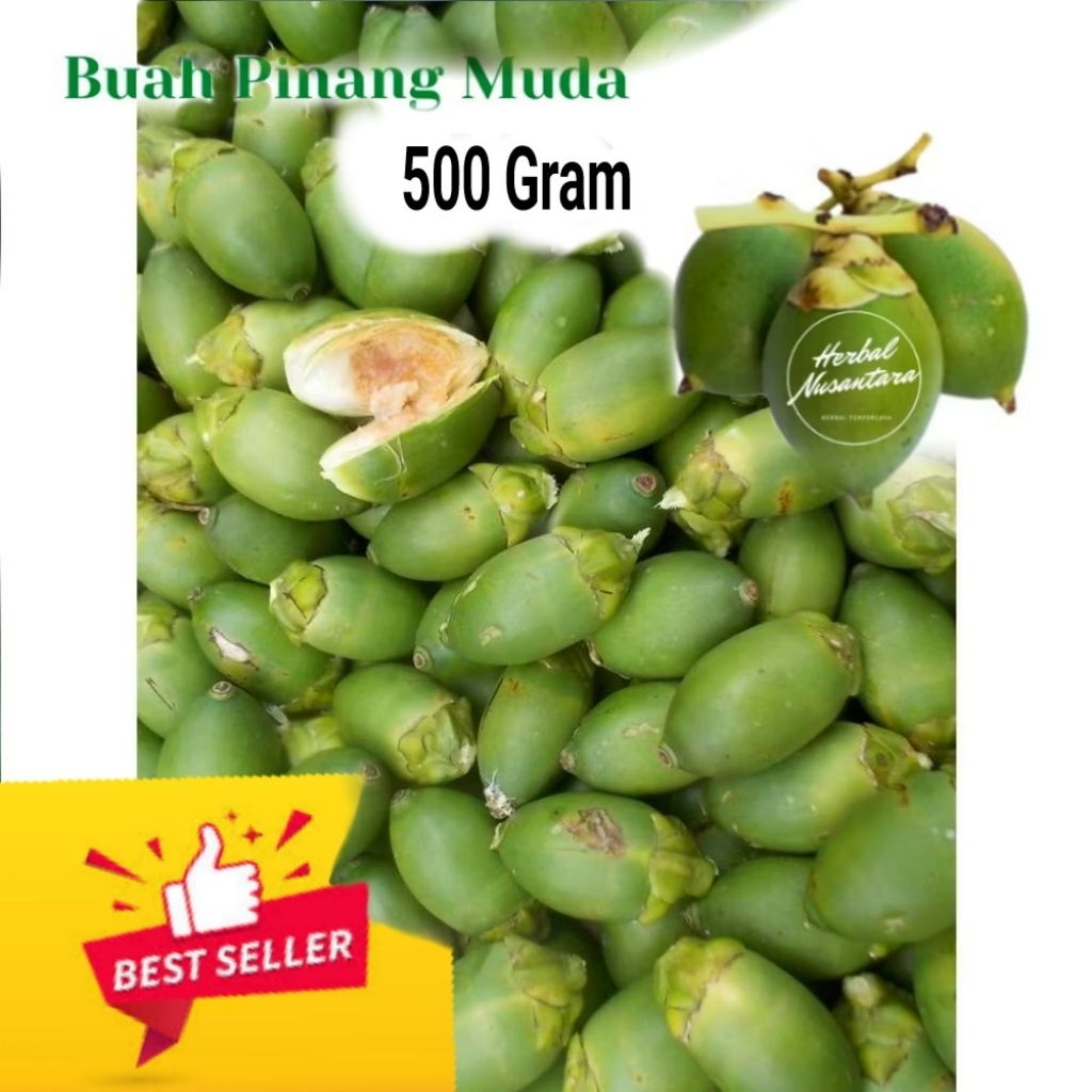

BUAH pinang Muda 500 Gram Pres Obat herbal