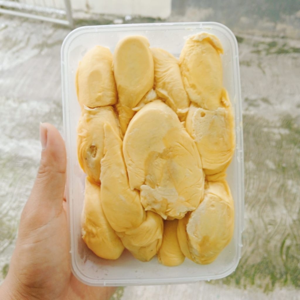 

Durian King Lokal Sidikalang Premium || Durian Sumatera Utara frozen Netto 500 Gram