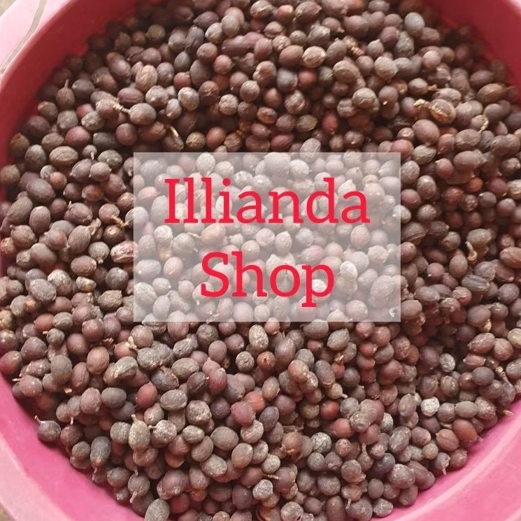 

KOPI LANANG / PEABERRY ASLI LERENG GUNUNG BROMO *JTYS*