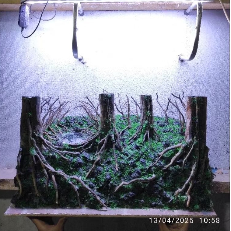 Hardscape jungle aquascape buat tank 60.30 35.cm full taneman sintetis