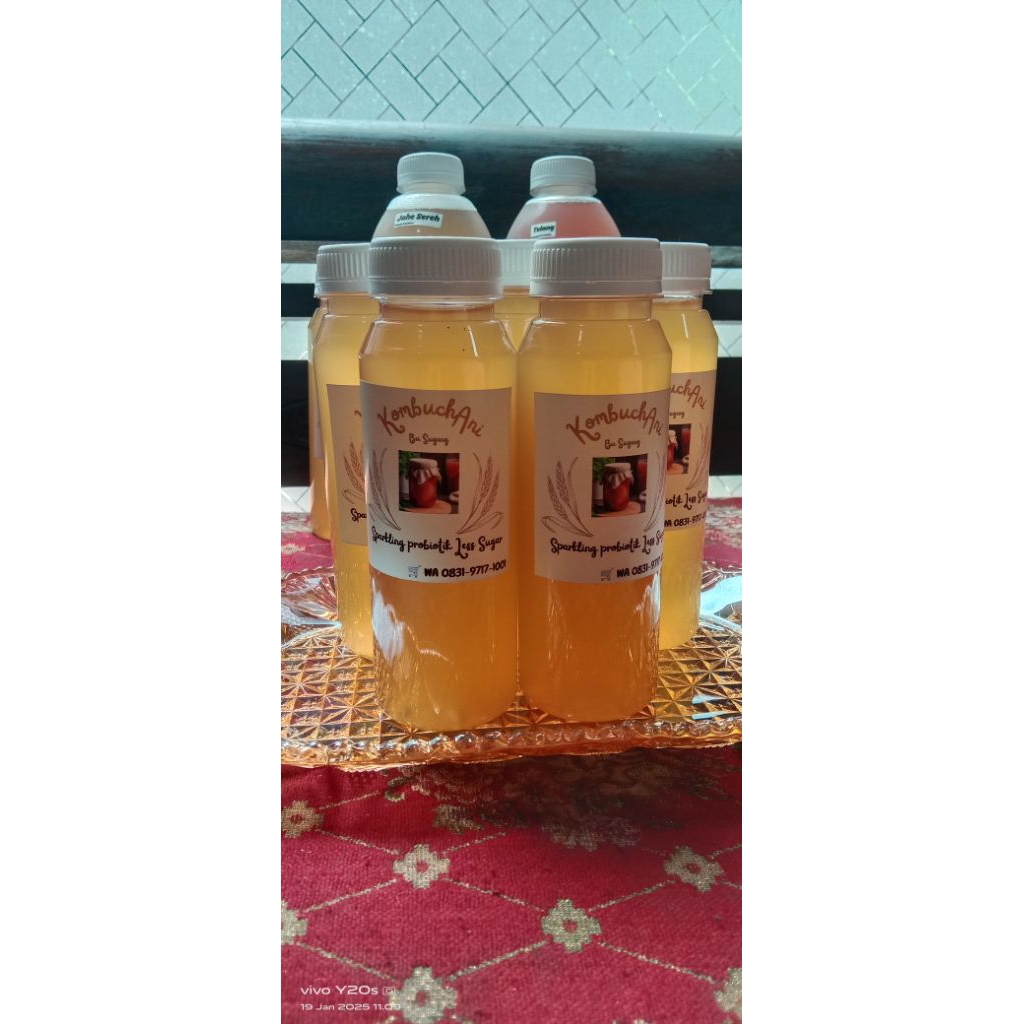 

starter kombucha