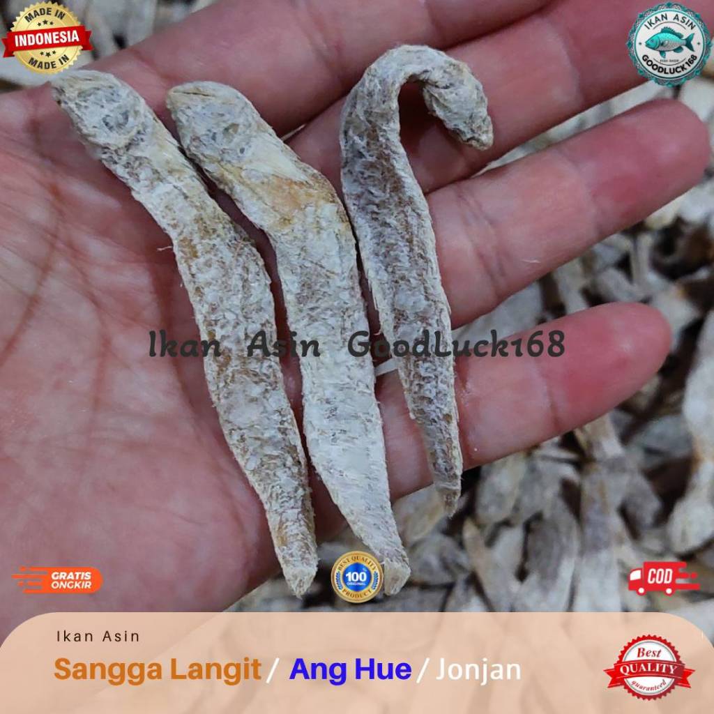 

Ikan Asin Sangga Langit / Ang Hue / Jonjan Kering Kualitas Premium