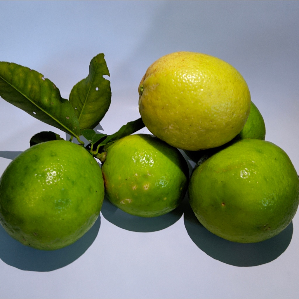 

Jeruk Lemon Hijau Amerika / California 1 KG | Lemon Hijau Fresh & Wangi | Premium Quality