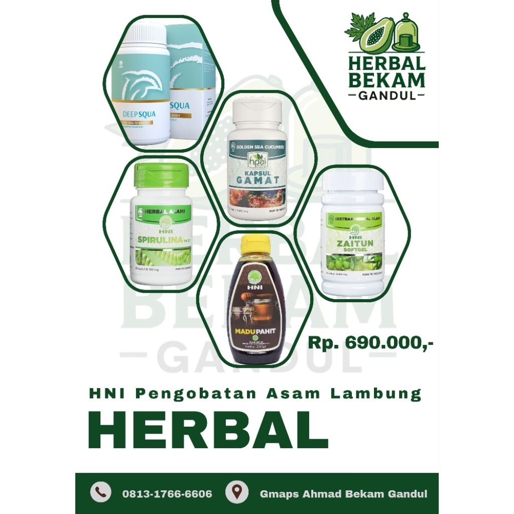 

Paket HNI Untuk Asam Lambung