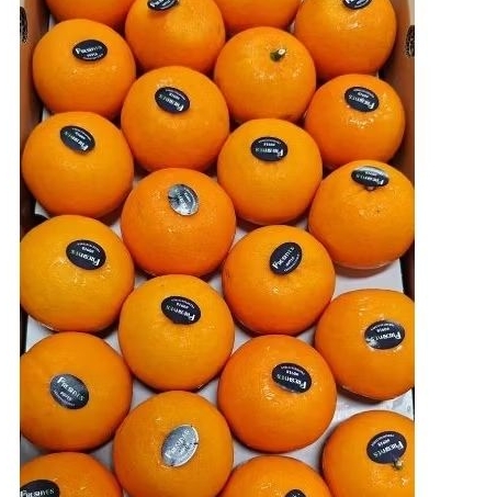

Jeruk Wogan 1kg - Manis Manis