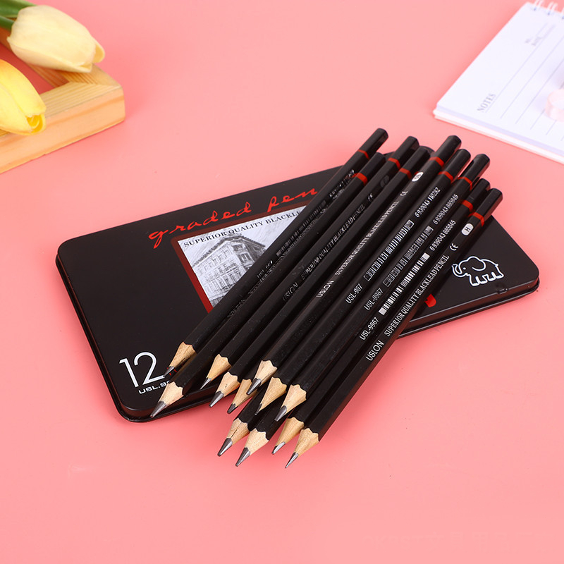 

12pcs/set Pensil Drawing Bahan Charcoal Pensil Sketsa Pensil Khusus Sketsa Set Lengkap 2H-8B