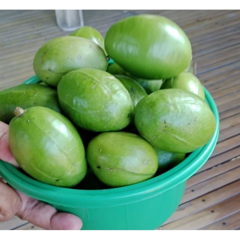 

PROMO KEDONDONG BANGKOK SEGAR