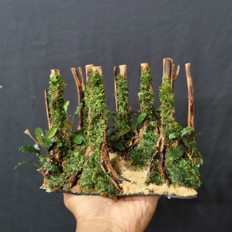 Hardscape aquascape hiasan aquarium tema hutan mini untuk tank 15-20 cm murah