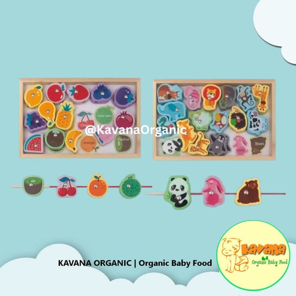 Toys - Montessori Education Fishing