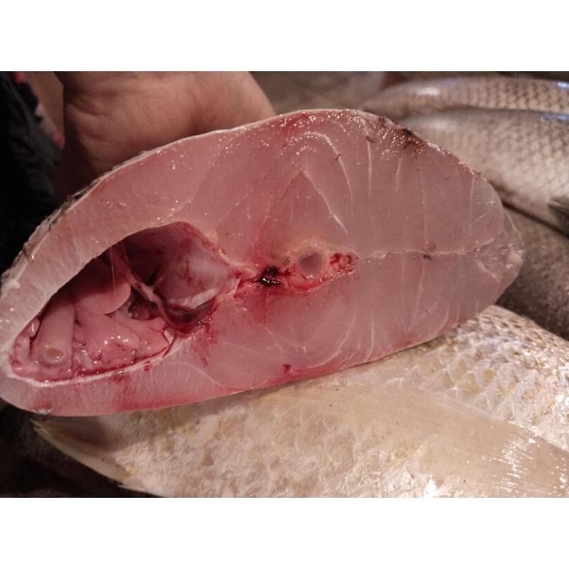 

IKAN KAKAP PUTIH CUT PER 2 POTONG / JAMIN SEGAR