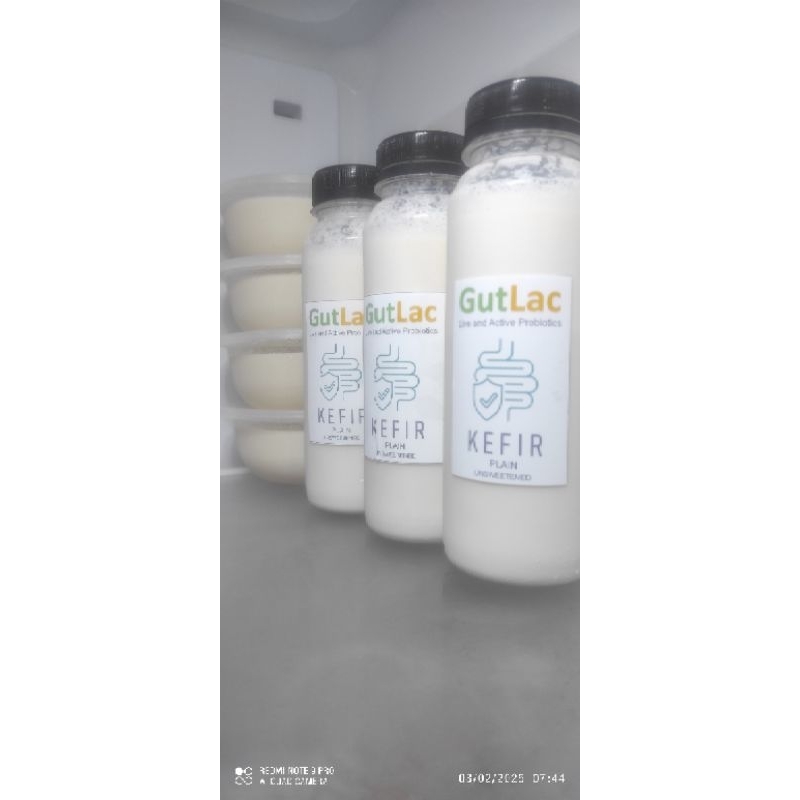 

Kefir Optima Susu Sapi 24 Jam GutLac