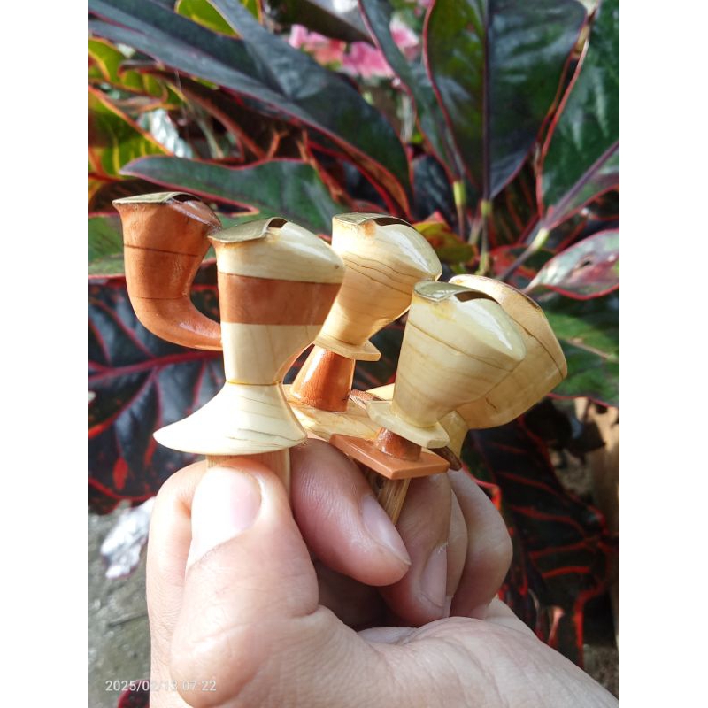 Sawangan Burung Merpati Tinggian / sawangan merpati suara nyaring