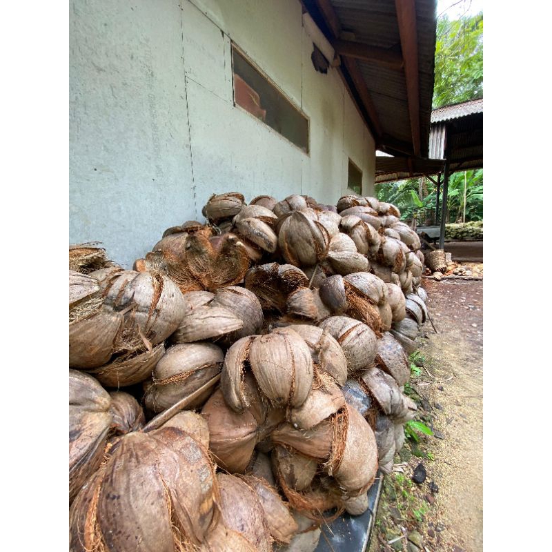 SABUT KELAPA UTUH untuk media tanam