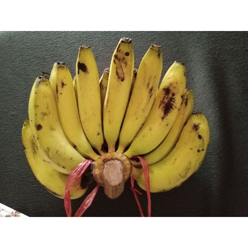 

Pisang Ambon 1 sisir