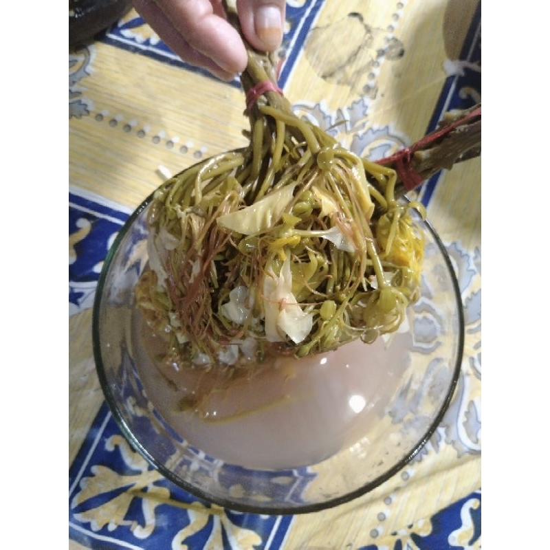 

JARUK TIGARUN KHAS KALIMANTAN SELATAN(harga 2ikat free toples)
