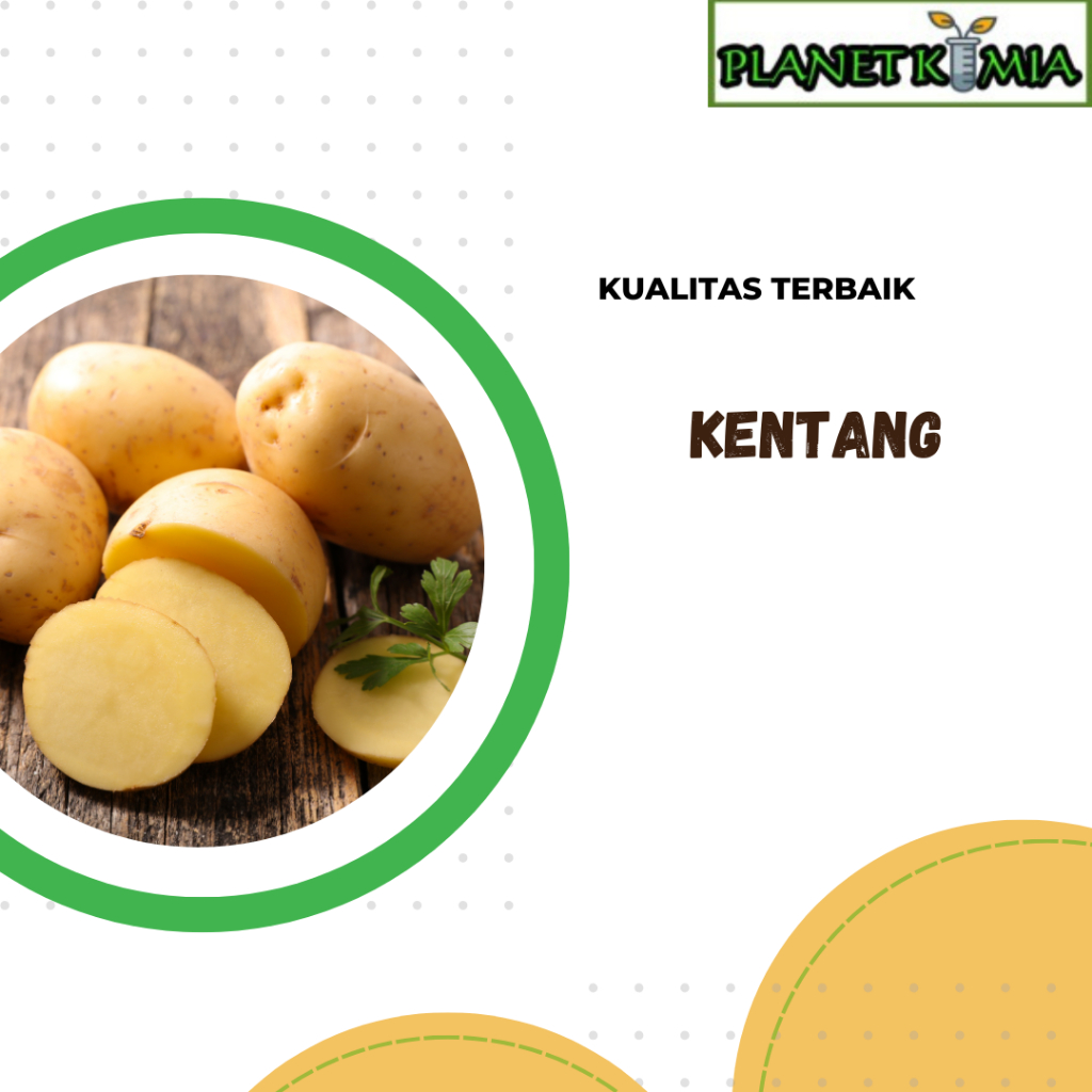 

ekstrak kentang best product