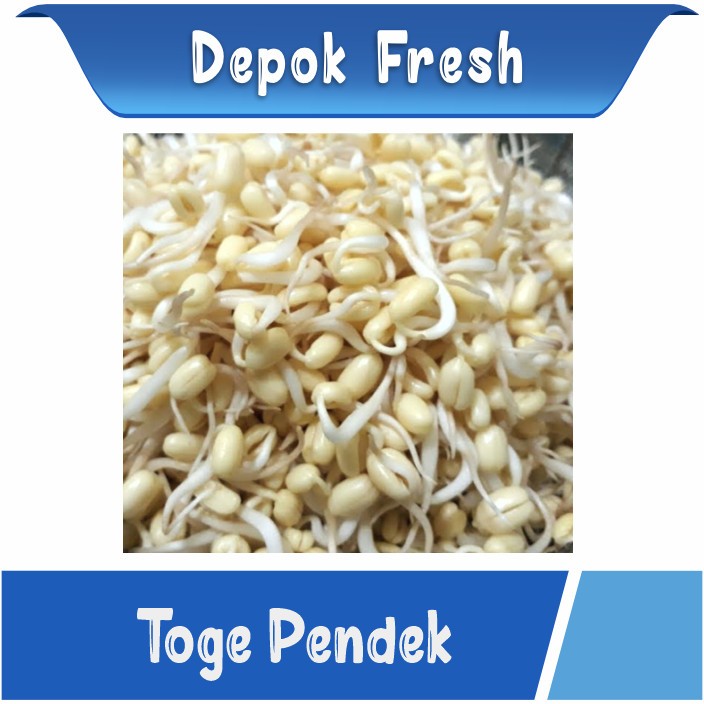 

TOGE RAWON / TOGE JEPANG / TOGE BIASA