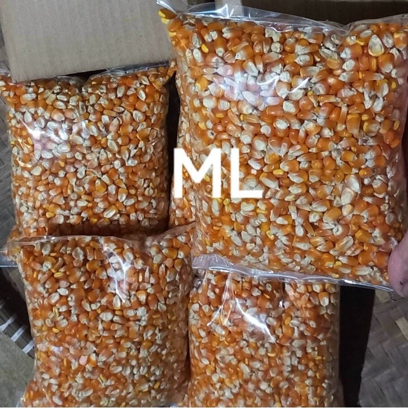 

Kemasan 1000 gram bibit jagung lokal kuning original