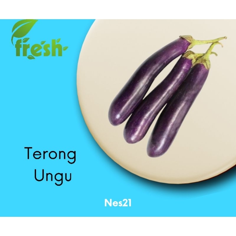 

Nes21 Sayur Terong ungu / SEGAR / instan H+1