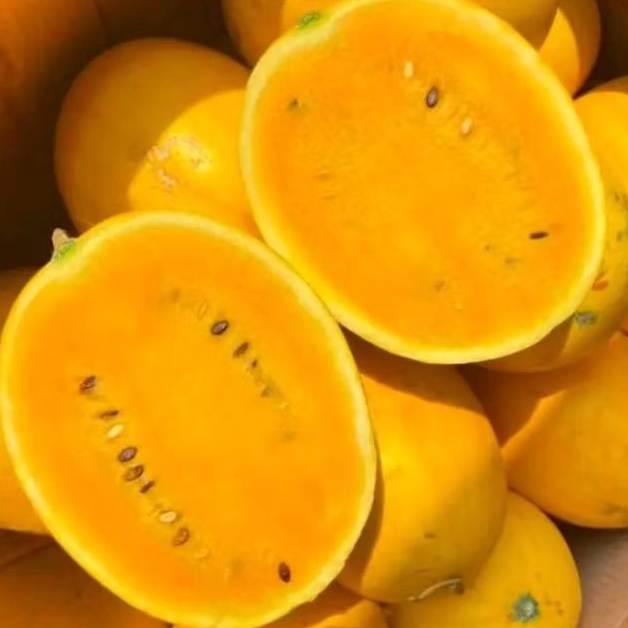 

Semangka golden 1 buah