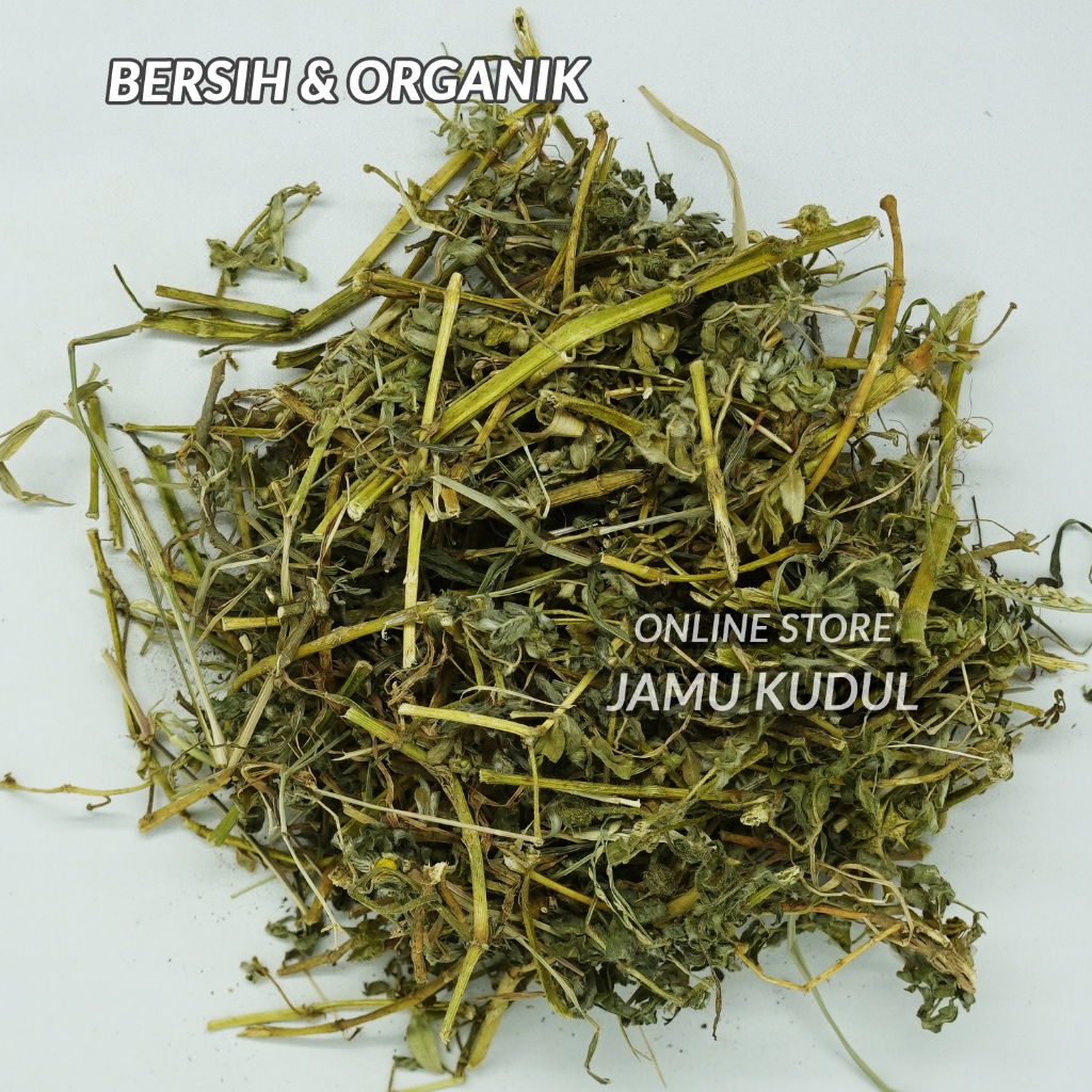 

Tribulus Kering 500gr Asli - Organik dan Bersih
