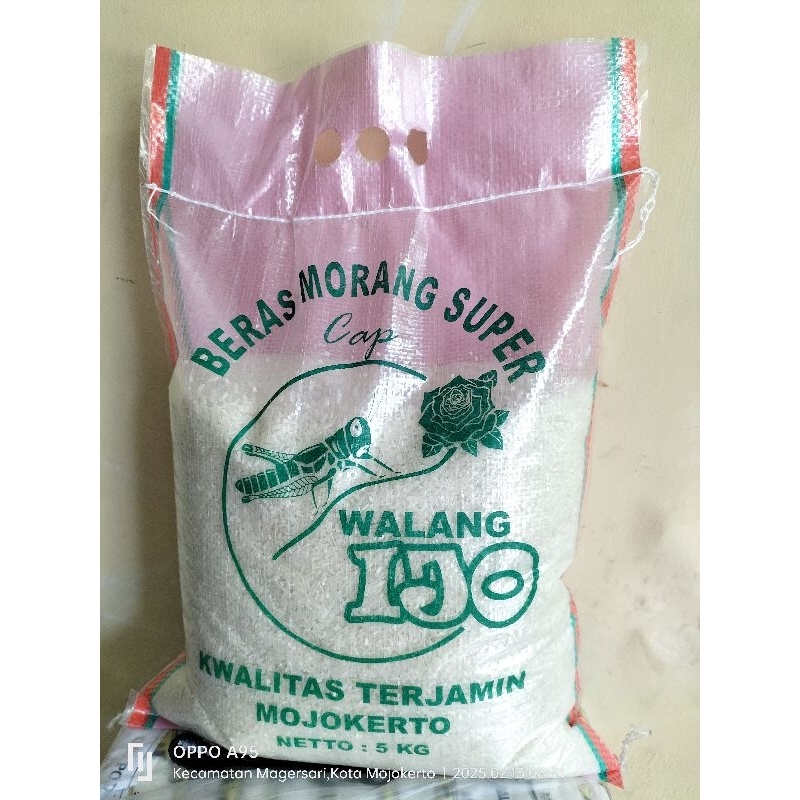 

walang ijo