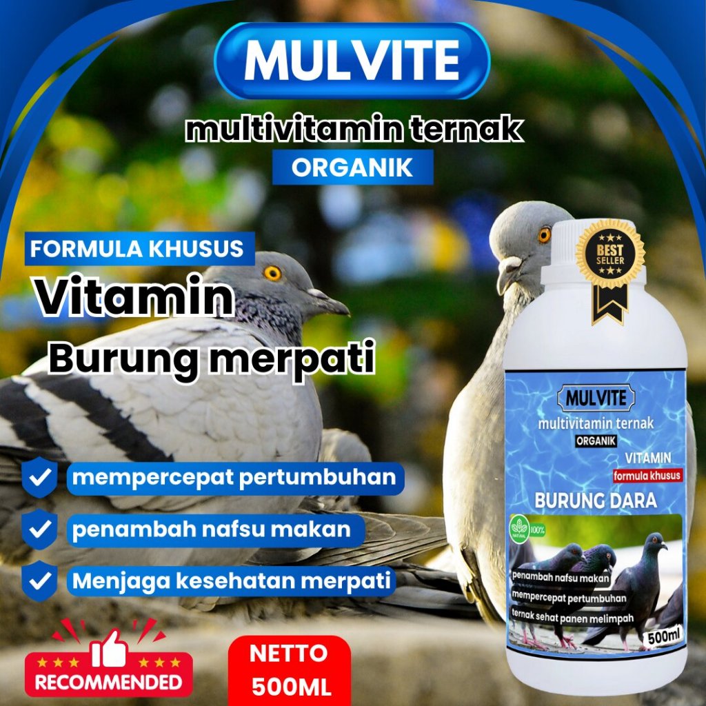 MULVITE Vitamin Burung merpati Agar Cepat Bertelur Obat Betina Anti Macet Nelur Untuk Ternak Breedin