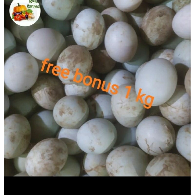 

telur bebek mentah /5btr + gratis bonus