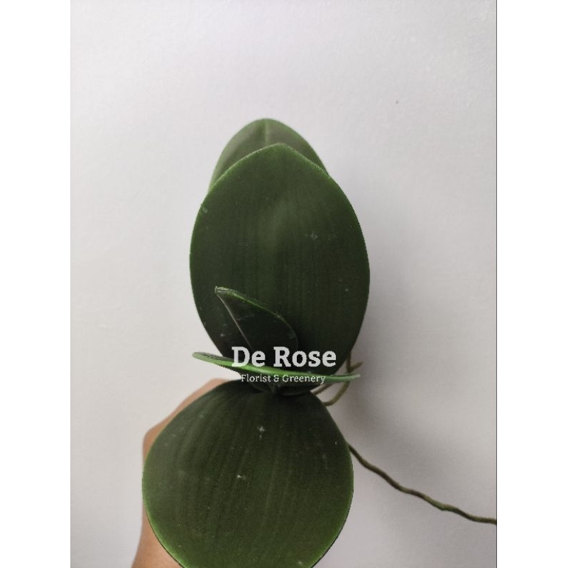 Daun Anggrek Kecil Warna Hijau/Daun Palsu