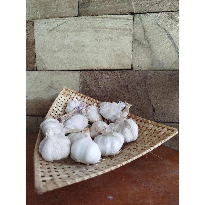 

Bawang Putih Sinco / Lokal